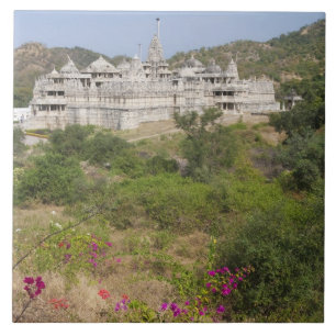 Carreau Temple jaïn de Ranakpur, Ranakpur, Rajasthan, Inde