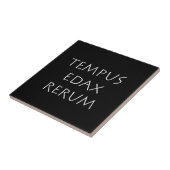 Carreau Tempus edax rerum (Côté)