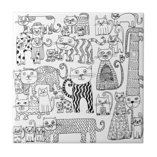 Carreau Tendance Fantaisiste Motif de Chat Noir et Blanc (Devant)