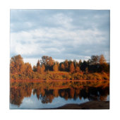 Carreau terrain-1391 (Devant)