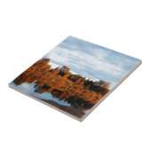 Carreau terrain-1391 (Côté)