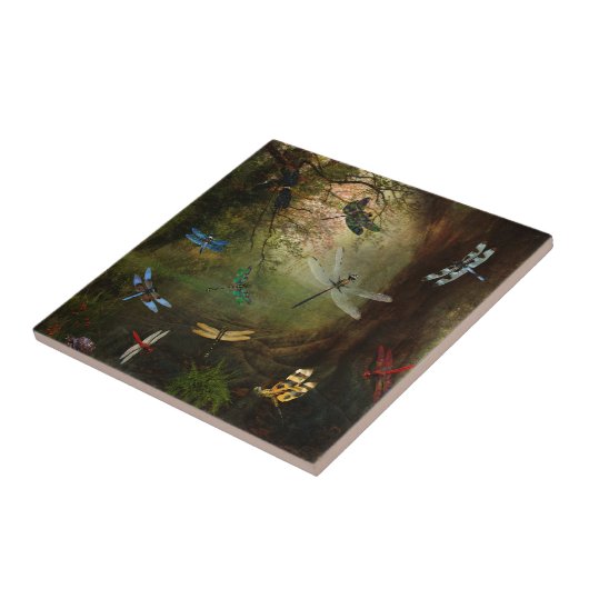 Carreau Terrain de jeu de libellule (Côté)