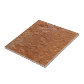 Carreau Terre cuite rouge simple rustique (Côté)