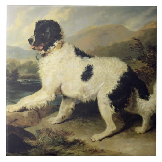 Carreau Terre-Neuve-et-Labrador, 1824 (huile sur toile) (Devant)