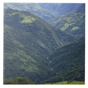Carreau Terres agricoles et forêt de l'Himalaya dans la va