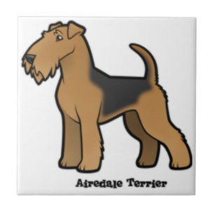 Carreau terrier d'airedale