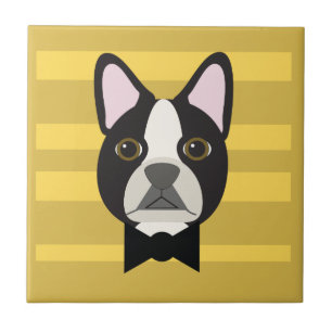 Carreau Terrier de Boston