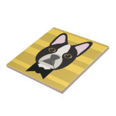 Carreau Terrier de Boston (Côté)