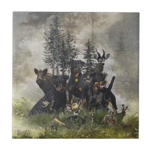 Carreau Terrier de chasse allemand (Jagdterrier)