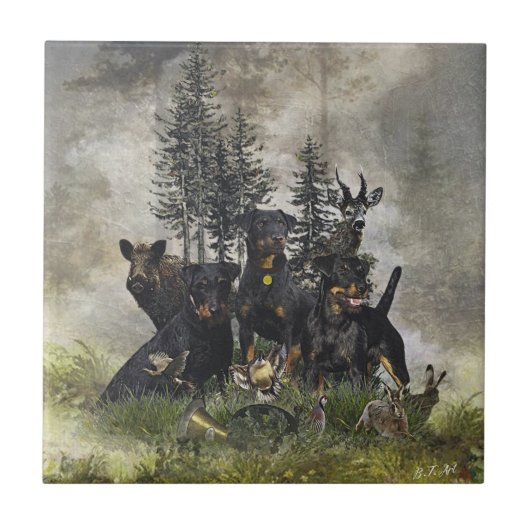 Carreau Terrier de chasse allemand (Jagdterrier) (Devant)