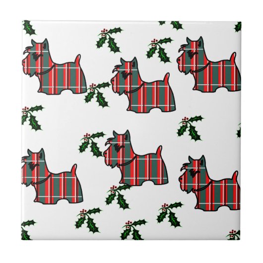 CARREAU TERRIER ÉCOSSAIS (Devant)