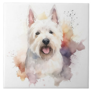 Carreau Terrier Écossais Blanc, animal de compagnie chien,
