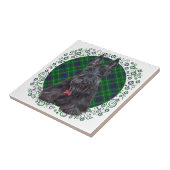 Carreau Terrier Écossais sur Tartan (Côté)