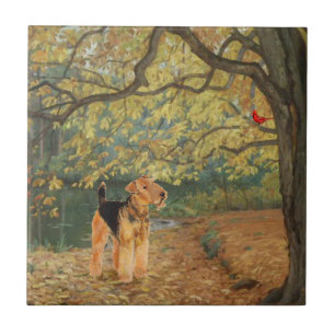 Carreau Tervueren Airedale Terrier Ornithologie