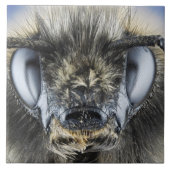 Carreau Tête de bourdon (Devant)