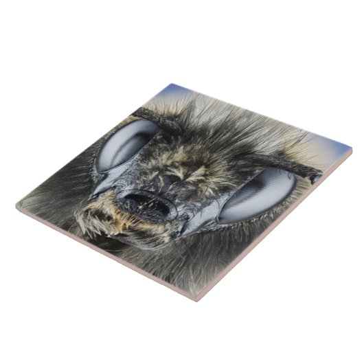 Carreau Tête de bourdon (Côté)