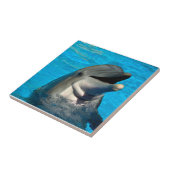 Carreau Tête de dauphin à bec (Côté)