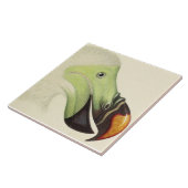 Carreau Tête vintage d'un Dodo (Côté)
