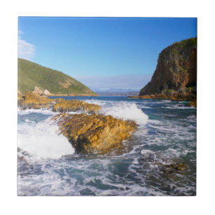 Carreau Têtes de Knysna, Route des jardins, Cap-Occidental