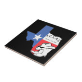 Carreau Texas : Drapeau et silhouette du Texas, (Côté)