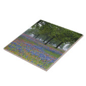 Carreau Texas Hill Country, Texas Paintbrush et (Côté)