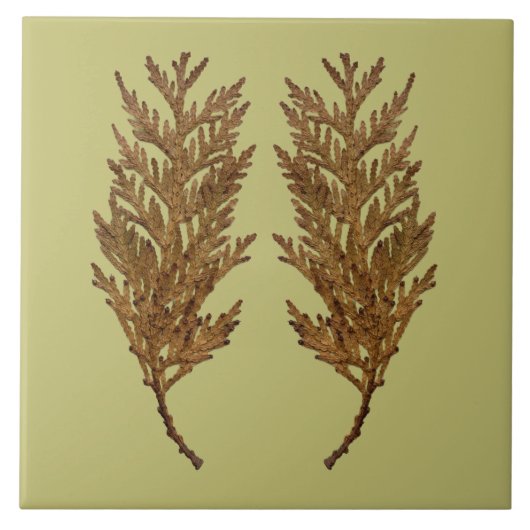 Carreau Textural Treasures of Winter on Ceramic Tile - D3 (Devant)