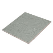 Carreau Texture Brosse de Plâtre Abstrait Sage ID1287 (Côté)