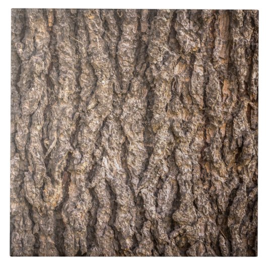 Carreau Texture de l'écorce d'arbre (Devant)