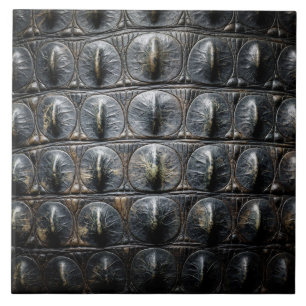 Carreau texture de peau de crocodile animal nature écaille