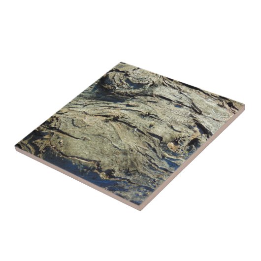 Carreau Texture d'écorce de pommier (Côté)