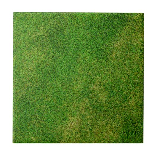 Carreau Texture d'herbe verte (Devant)