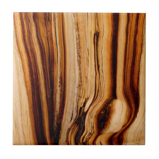 Carreau Texture du tronc d'arbre brûlé (Devant)