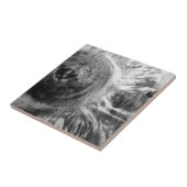 Carreau Texture en bois noir et blanc (Côté)