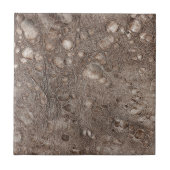 Carreau Texture en cuir (Devant)