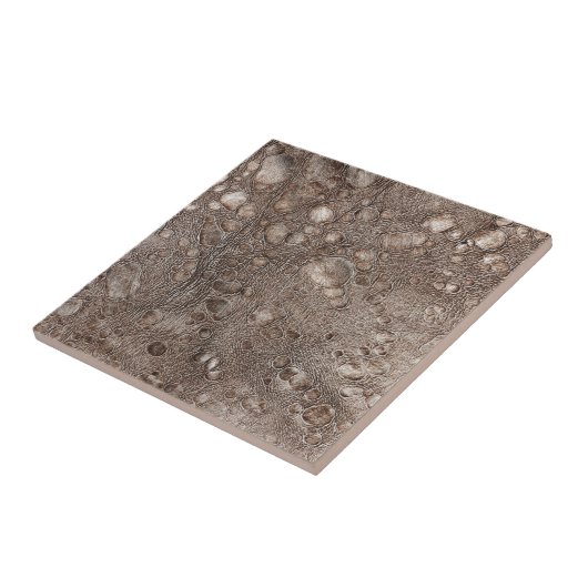 Carreau Texture en cuir (Côté)