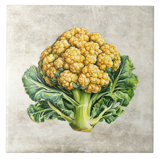 Carreau Texture fausse de chou-fleur rustique aquarelle (Devant)