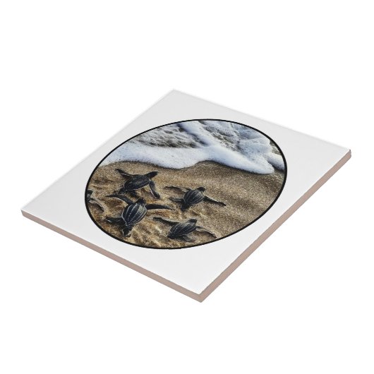 Carreau The newborn instinct (Côté)