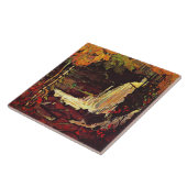 Carreau Thomson - Cascade Woodland (Côté)