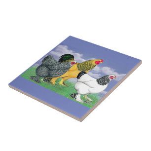 Carreau Three Brahmas