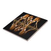 Carreau Three Impala Drink Together at Night (Côté)