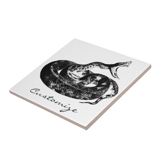 Carreau Thunder_Cove (Côté)