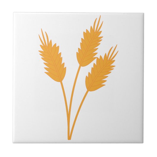 Carreau Tige de blé (Devant)