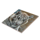Carreau Tiger20151001 (Côté)