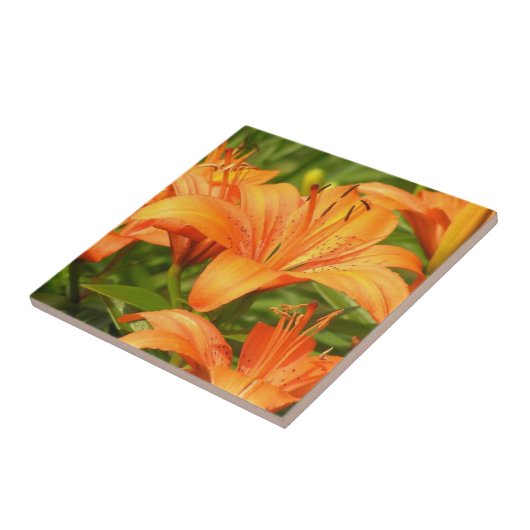 Carreau Tiger Lily (Côté)