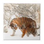 Carreau Tiger Mère et bébé<br><div class="desc">Tiger mère et bébé</div>