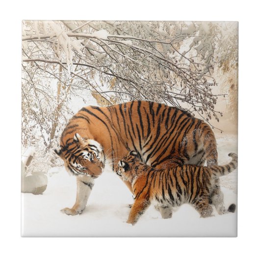 Carreau Tiger Mère et bébé (Devant)