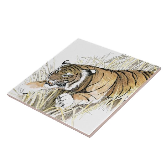 Carreau Tigre (Côté)