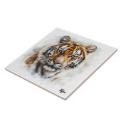 Carreau Tigre (Côté)