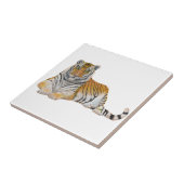 Carreau Tigre (Côté)