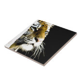 Carreau Tigre (Côté)